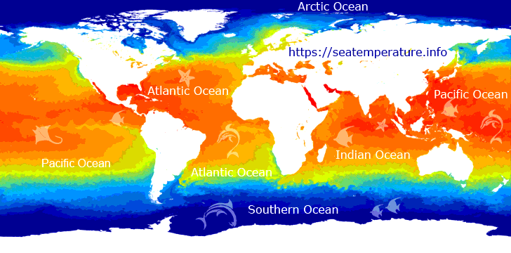 Sea water temperature map in real time